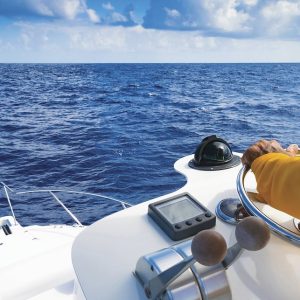 Standard VHF Radio, HX890, Handheld, United States/ Canadian/ International Channels, 6 Watts, Noaa Weather Channels with Alert – HX890BK