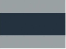 Trimbrite Pinstripe Tape, Prostripe ®, 5/8 Inch Dual Color Stripe, Silver Black, 50 Foot Length – R60698