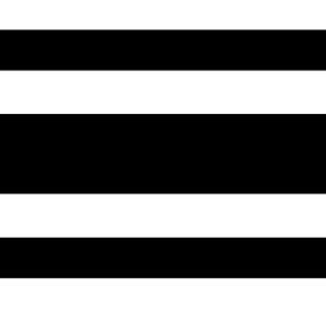 Trimbrite Pinstripe Tape, 3/4 Inch Multistripe, Black, 36 Foot Length – T0501