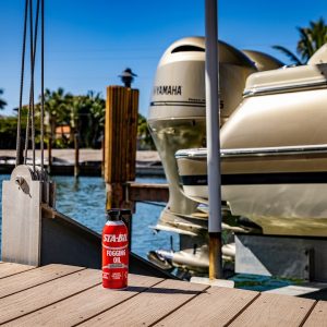 303 Products Engine Fogging Oil, Prevents Corrosion Lubricates Cylinders, 12 Ounce Aerosol Can, Single Bottle – 22001