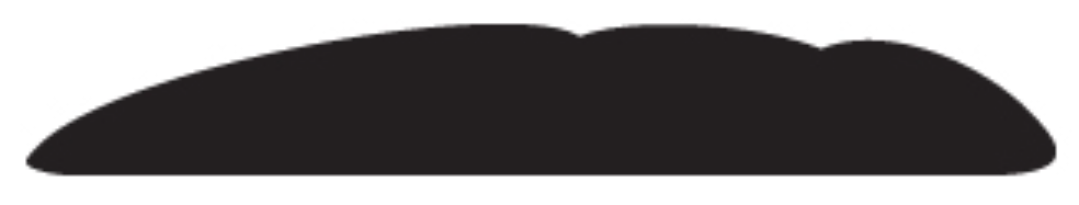 Trim-Guard Side Molding, Direct-Fit, Black, 19 Foot Length – 98DT-19
