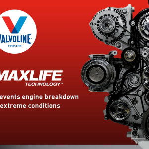 Valvoline Oil, Maxlife ®, SAE 10W30, Synthetic, 1 Quart Bottle, Case of 6 – VV180