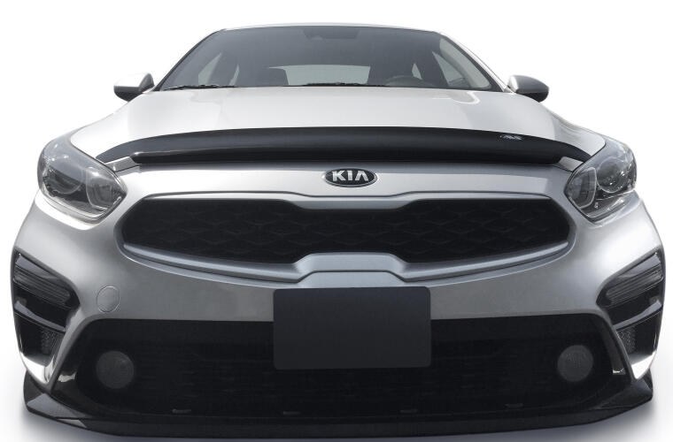 Auto Ventshade Bug Shield, Carflector, Low Profile, Smoke, Acrylic – 20225