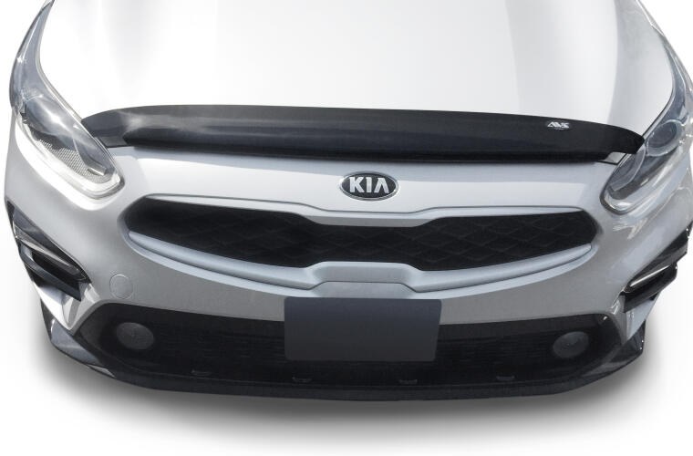 Auto Ventshade Bug Shield, Carflector, Low Profile, Smoke, Acrylic – 20225