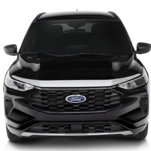 Auto Ventshade Bug Shield, Aeroskin®, Low Profile, Chrome, ABS Thermoplastic, With Mounting Hardware – 622282
