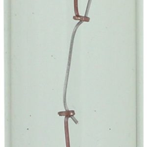 Wagner License Plate Light Bulb, Standard Series, T-4 1/2, SV8.5, Miniature Lamp, Clear, Single, Boxed – 11005