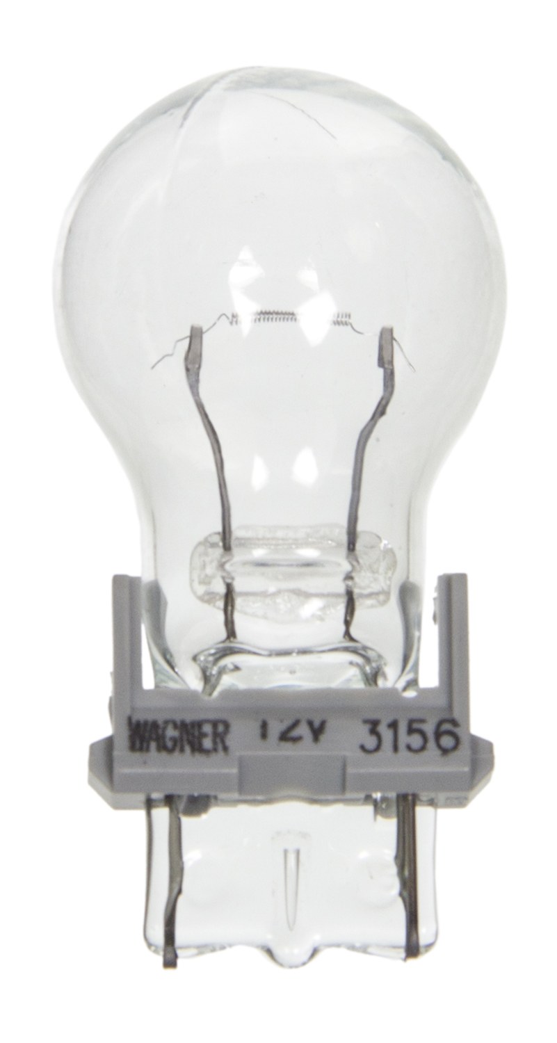 Wagner Backup Light Bulb, Standard Series, 3156, Clear, Set of 2, Blister Pack – BP3156