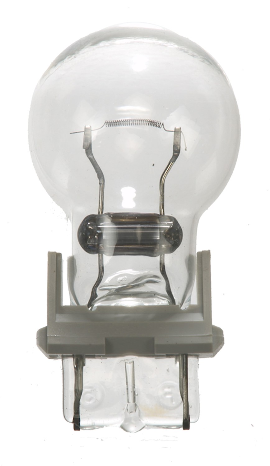 Wagner Backup Light Bulb, Standard Series, 3156, Clear, Set of 2, Blister Pack – BP3156