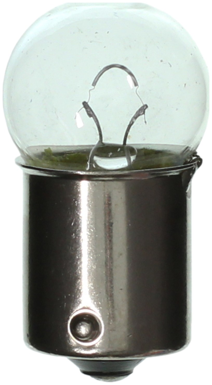 Wagner License Plate Light Bulb, Standard Series, 67, Miniature Lamp, Clear, Set of 2, Blister Pack – BP67
