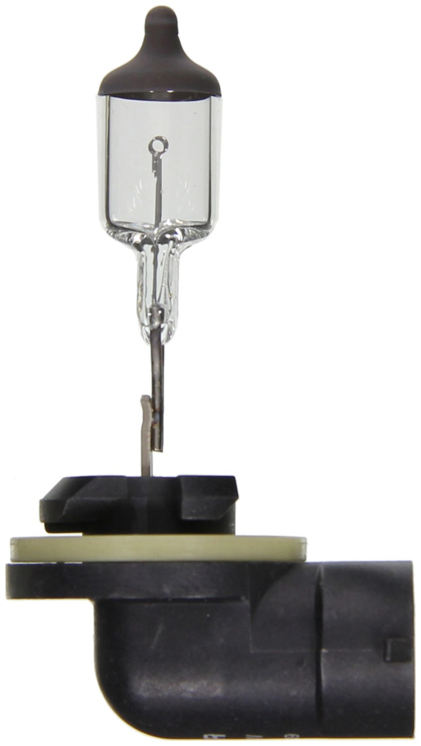 Wagner Driving/ Fog Light Bulb, Standard Series, 896, Halogen, Clear, Single – BP896