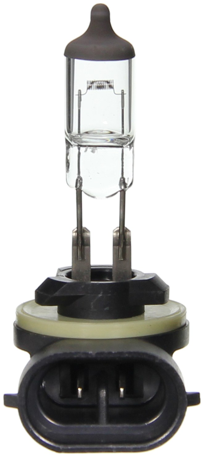 Wagner Driving/ Fog Light Bulb, Standard Series, 896, Halogen, Clear, Single – BP896