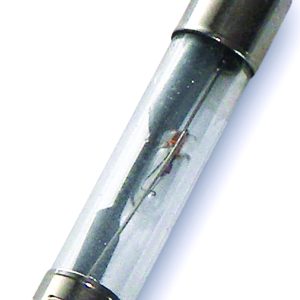 WirthCo Fuse, Glass Tube, Agc, 30 Ampere – 24630