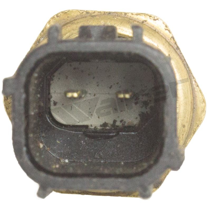 Walker Products Coolant Temperature Sensor, 2 Blade Terminal, Black/ Gold – 211-1115