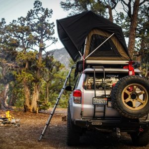 Wilco Offroa Spare Tire Carrier, Hitchgate™, 2 Inch Receiver Hitch Mount, Holds Up to 40 Inch Tire, Black, Universal – UHG3060