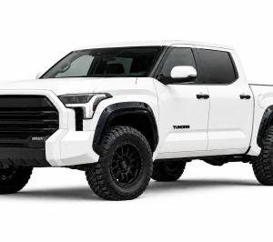 Black Horse Off Road Fender Flare, Pocket Riveted Look, Bolt-On/ May Need Drilling, Paintable, Low Gloss, ABS Plastic, Set of 4 – FF-TT22SM