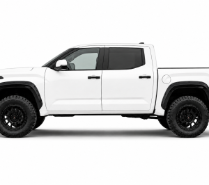 Black Horse Off Road Fender Flare, Pocket Riveted Look, Bolt-On/ May Need Drilling, Paintable, Low Gloss, ABS Plastic, Set of 4 – FF-TT22SM