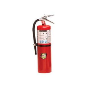 Buckeye Fire Fire Extinguisher, Ul/Ulc Rated 4-A:80-B:C, Dry Chemical Agent, Not U.s. Coast Guard Approved, 10 Pound Bottle, Steel, Red – 11340