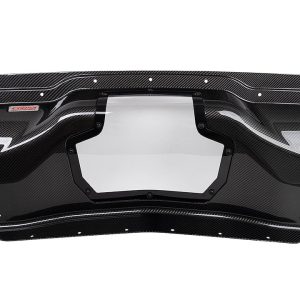 Corsa Exhst Trunk Panel, Black, Carbon Fiber, With Polycarbonate Transparent Window and Hardware – 44009
