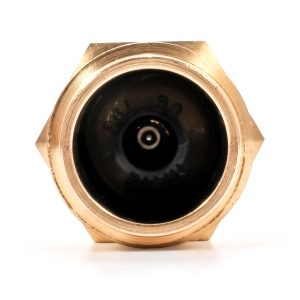 Camco Water System Blow Out Plug, Schrader Tire Valve Stem Connection, Brass – 36153