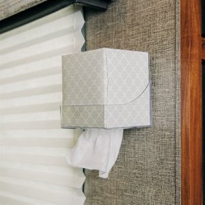 Camco Facial Tissue Holder, Pop-A-Tissue, Holds Most Boutique Size Tissue Brands, Under Cabinet Screw IN Mount, Clear, Plastic – 57101