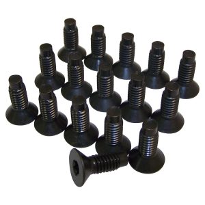 Crown Automotive Windshield Hinge Bolt, Set of 16 Torx Screws – 6035757K