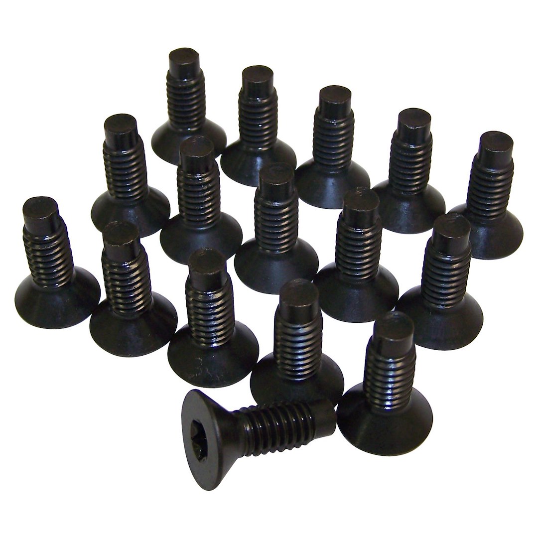 Crown Automotive Windshield Hinge Bolt, Set of 16 Torx Screws – 6035757K
