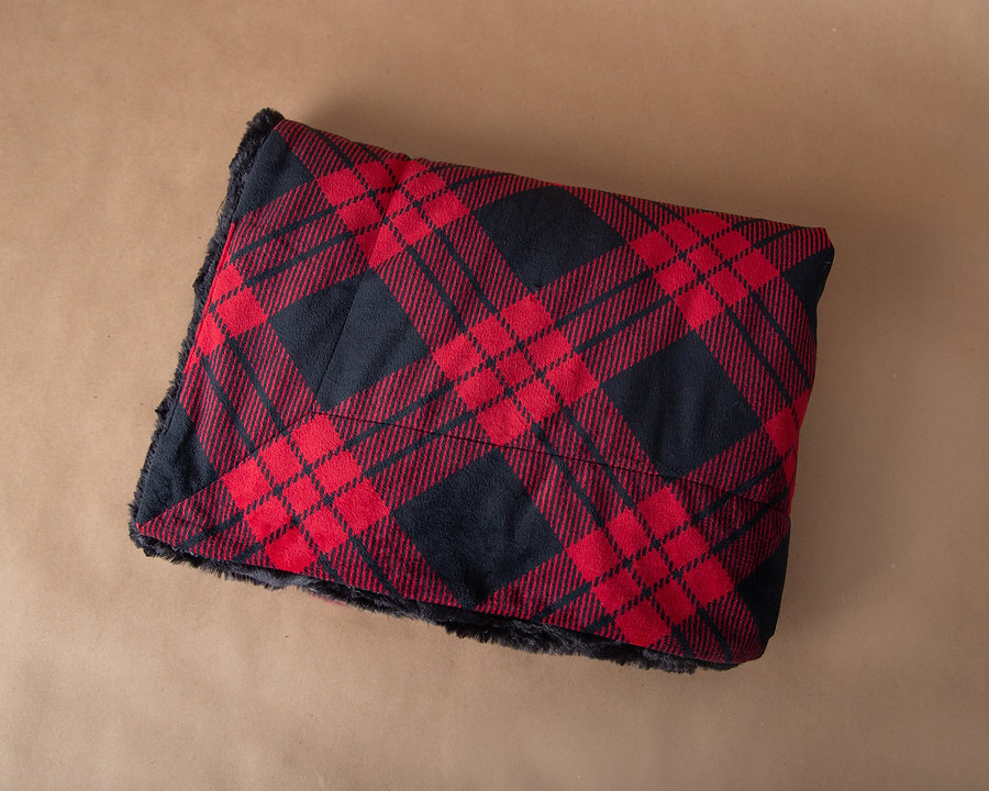 Camp Casual Blanket, The Throw, 60 Inch Length X 50 Inch Width, Polyester, Black/Red Buffalo Plaid Design, Machine Washable – CC-008BP