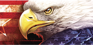 Chroma Decal Window Graphics, American Eagle with Stars Sunscreen – 049502