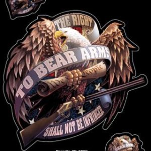 Chroma Decal Decal, Stick-Onz ™, The Right to Bear Arms Eagle, 3 Piece – 25040