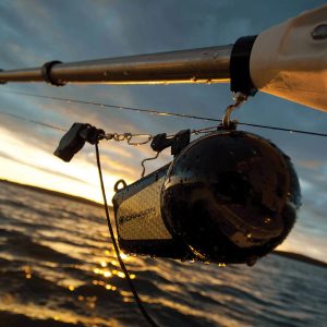 Cannon Downrigger Weight, Round Shape, 16 Pound Flash Weight, Vinyl Coated, Black – 1908016