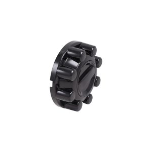 Coast to Coast Wheel Center Cap, Fits Into OEM Wheel, Painted, Gloss Black, ABS Plastic, Set of 2 – C10098FBK