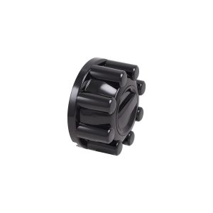 Coast to Coast Wheel Center Cap, Fits Into OEM Wheel, Painted, Gloss Black, ABS Plastic, Set of 2 – C10098RBK