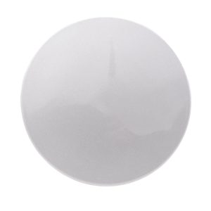 Coast to Coast Wheel Center Cap, OEM, 2-1/2 Inch Diameter, 0.75 Inch Height, Closed Style, Painted, Silver, ABS Plastic, Snap on, Set of 4 – IWCC9107S