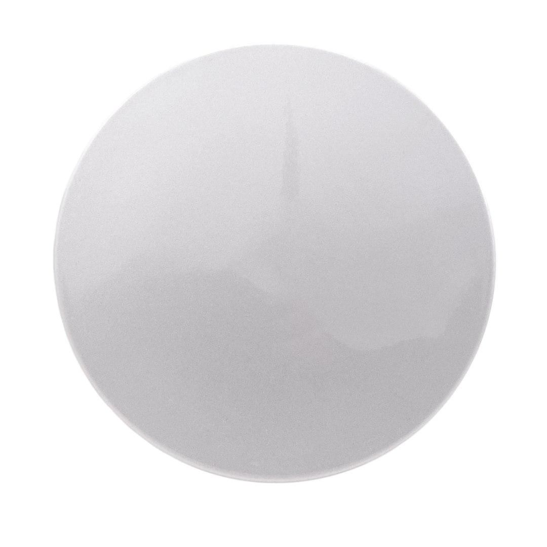 Coast to Coast Wheel Center Cap, OEM, 2-1/2 Inch Diameter, 0.75 Inch Height, Closed Style, Painted, Silver, ABS Plastic, Snap on, Set of 4 – IWCC9107S