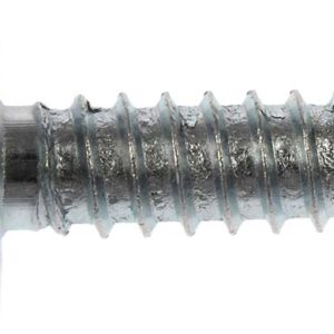 Dorman License Plate Mounting Hardware, Round Head Washer Head Screw, 1/4 Inch X 3/4 Inch – 02405
