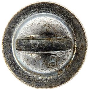 Dorman License Plate Mounting Hardware, Round Head Washer Head Screw, 1/4 Inch X 3/4 Inch – 02405