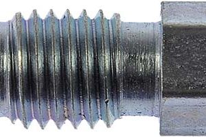 Dorman Brake Bleeder Screw, Carded, 5/16-24 Thread Size, Set of 2, Hex – 13903