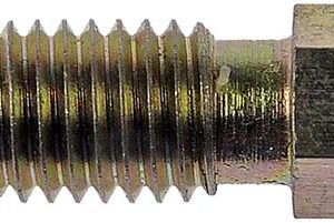 Dorman Brake Bleeder Screw, Carded, Set of 2, Hex – 13904