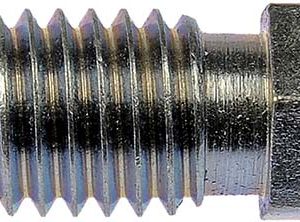 Dorman Brake Bleeder Screw, Carded, M10-1.5 Thread Size X 30 Millimeter Length, Set of 2 – 13908