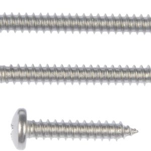 Dorman Screw, Autograde™, Self Tapping, #10 X 1 Inch Length/ #10 X 1.5 Inch Length/ #10 X 2 Inch Length, Pan Head, Stainless Steel – 784-155