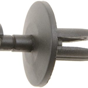 Dorman Rivet, Autograde ™, Push IN, 1/4 Inch Head Diameter, Nylon, Pack of 15 – 799-110