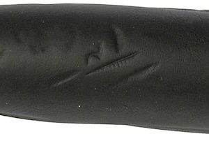 Dorman Parking Brake Cable, First Stop ™ – C660024