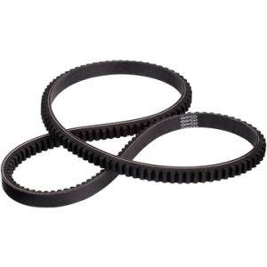 Dayco Accessory Drive Belt, Top Cog Gold Label – 17370