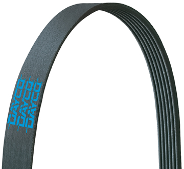 Dayco Serpentine Belt, Poly Rib – 5050486