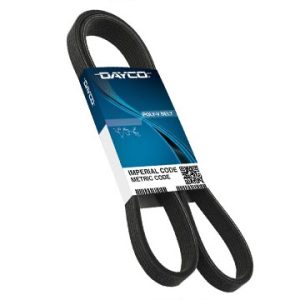 Dayco Serpentine Belt, Poly Rib – 5030295