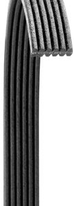 Dayco Serpentine Belt, Poly Rib Gold Label – 6080719