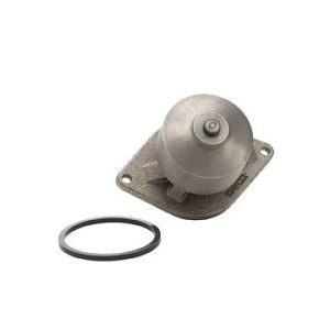 Dayco Water Pump – DP1000