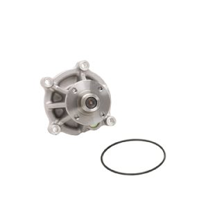 Dayco Water Pump – DP1010