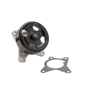 Dayco Water Pump – DP459