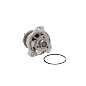 Dayco Water Pump – DP731